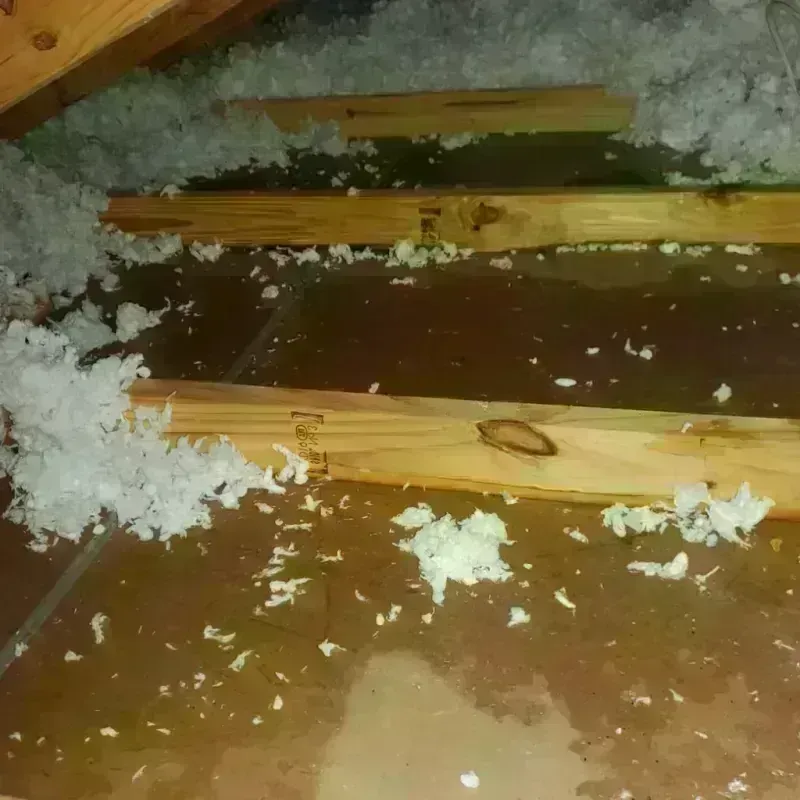 Attic Water Damage in Denmark, SC